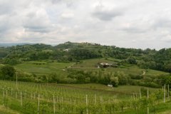 240505FIABVIgirodivino-139