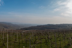 20_02_23-FIABVI_Soave-009